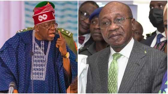 Breaking: President Bola Ahmed Tinubu makes fresh appointment
