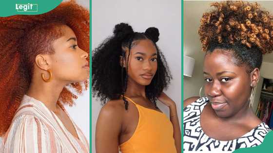 50 Latest female hairstyles for curly natural hair in 2025