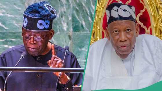 2027: Ganduje under fire over message to north concerning Tinubu presidency, details surface