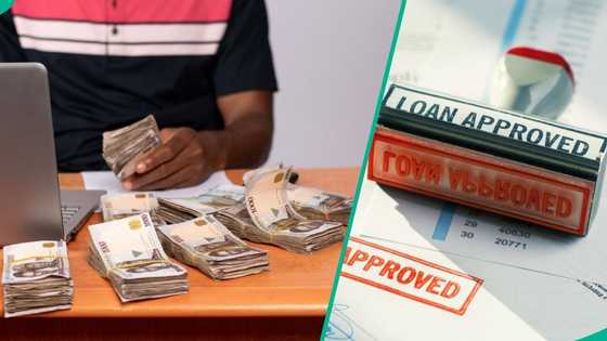 Zenith, Access, UBA, other banks release new lending rates as CBN lowers interest rate