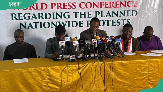 "They want to set Nigeria on fire": Why middlebelt will boycott planned nationwide protest