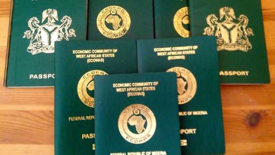 Passport production hits over 38,000 in four months in Lagos, NIS gives important reason