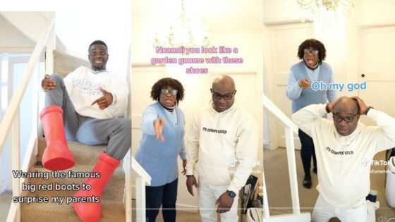 Parents discover the shoe son bought for $400, their reaction goes viral on TikTok