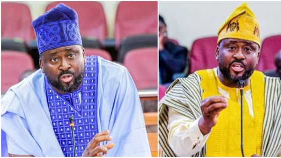 I blame everything I said on emotions - Desmond Elliot