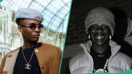 Video as DJ Obi previews Wizkid, Seyi Vibez's song, fans react: "Omo see better banger"