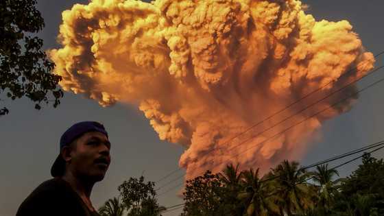 Bali flights cancelled after Indonesia volcano eruption