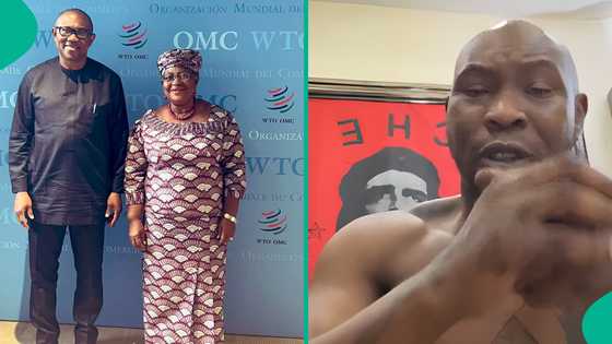 "What did Ngozi Okonjo-Iweala do in our country?" Seun Kuti calls Nigerians names, slams Peter Obi