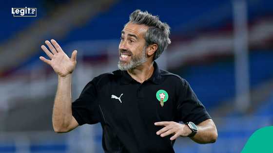 "Super Falcons are going down": Morocco coach targets historic win vs Nigeria in WAFCON final, video