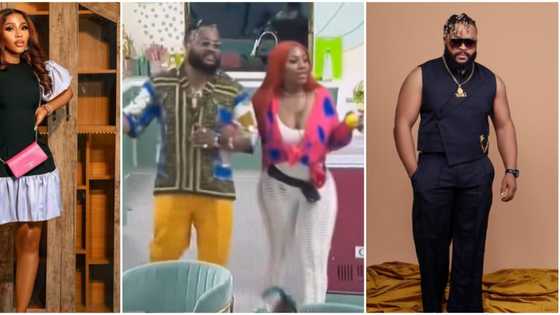 BBNaija All Stars: Mercy Eke succumbs as she declares alliance with Whitemoney: "WhiteLambo is a force"
