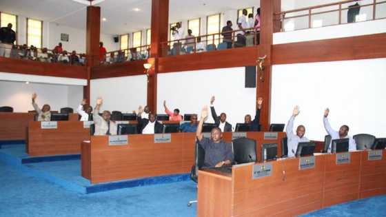 Hadimin Buhari ya hango abin da zai faru idan Majalisa ta tsige Gwamnan Ribas