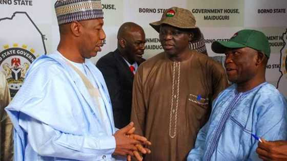 Jihar Borno Zata Ginawa Yan Gudun Hijira Gidaje 20,000 Kauyuka 3