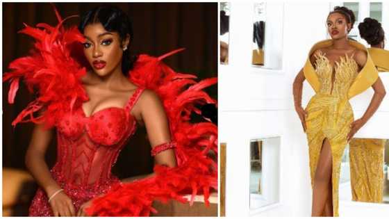 Best dressed female guest at Beauty's birthday party receives N500k cash prize