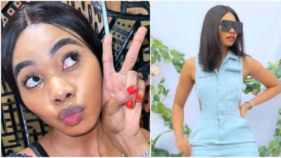 Thank God for your lie: Funny reactions as Jane Mena reveals she spent millions on 100 mac lipsticks, makeup