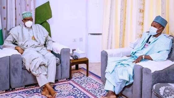 President Buhari has tolerated rubbish from Nigerians - APC governor declares
