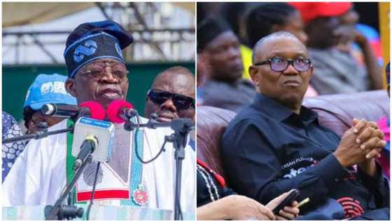 2023 presidency: Tinubu digs up Peter Obi's past, gives him new name