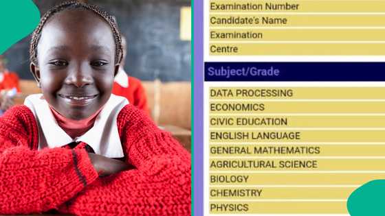 WAEC 2024: Nigerian man shares photo of his female niece result who got 5 A1s, passes all subjects