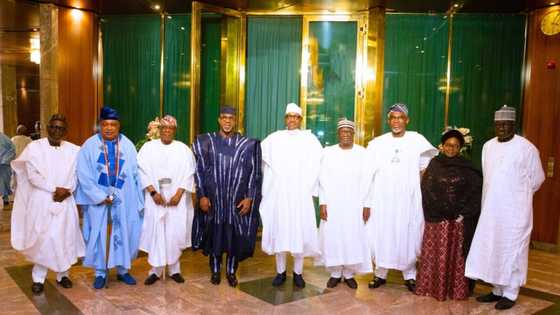 Thank you Mr president - Ogun leaders travel to Abuja to appreciate Buhari for visiting state