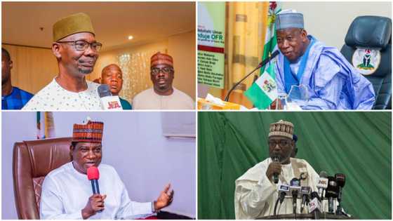 2023: List of 9 northern governors supporting southern region to produce Buhari's preferred successor