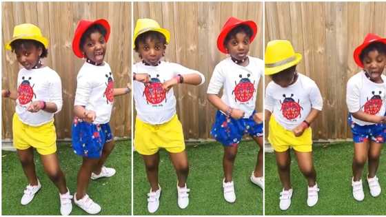 Cute twin kids with fast legs jump on Buga dance challenge, finish work, set social media on fire with video