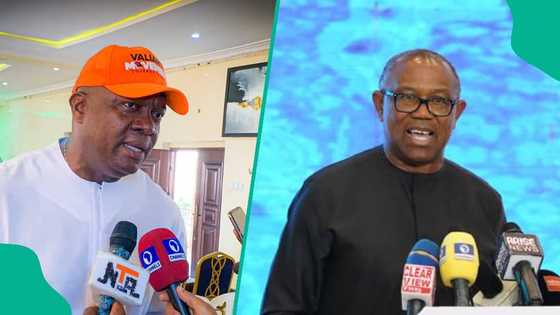 Tsohon makusancin Peter Obi ya hango rugujewar LP, ya fadi makomarsa a 2027