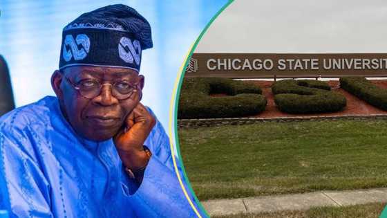 Chicago University Saga: Tinubu's lawyer explains gender error in president's certificate