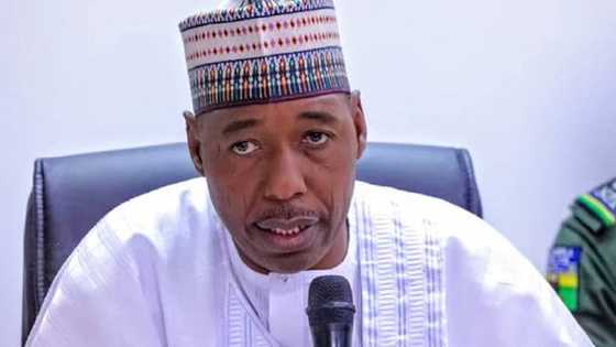 Bayan shafe fiye da wata 6 cikin duhu, Zulum ya sanar da ranar da za dawo da lantarki a Maiduguri