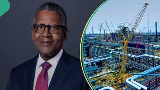 Dangote refinery supply to hit market by January, airline operators, others secure position