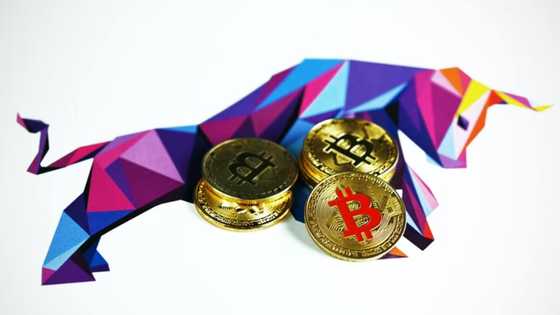 Can Logarithmic Finance (LOG) measure up to giants Cronos (CRO) and PancakeSwap (CAKE)?