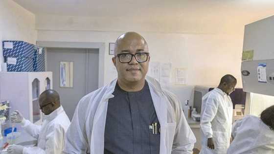 Makonni 53 da bullar Korona: Abubuwa 8 da ya kamata ka sani