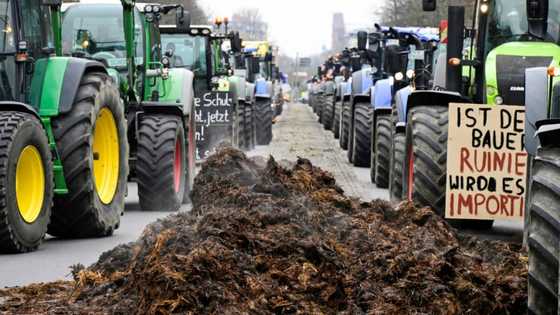 Germany drops planned subsidy cuts after farmers protest