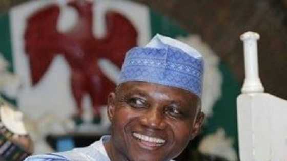 Buhari’s aide makes clarification over alleged comment on Twitter's office in Ghana