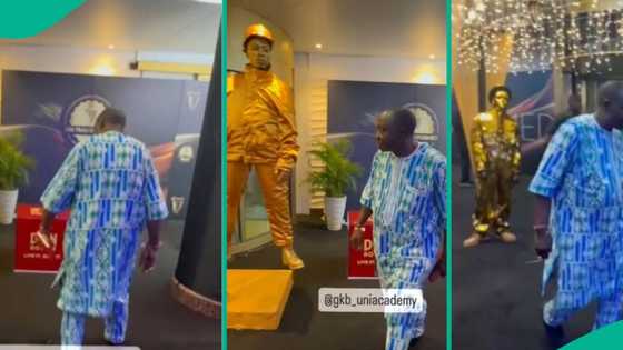 Man wearing funny costume levitates effortlessly without crashing on the ground, onlookers gather