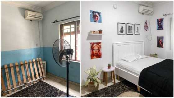 Young man transforms his room into a beautiful space with 'little' money, people love it