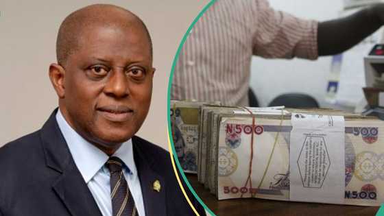 No more fees: CBN cancels renewal licence payment for BDCs in 2025
