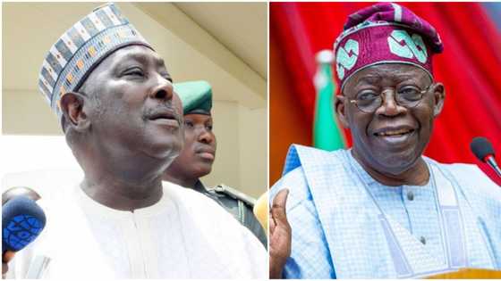 Muslim-Muslim ticket: Powerful APC chieftain reveals Tinubu's alleged plot to divide Christians