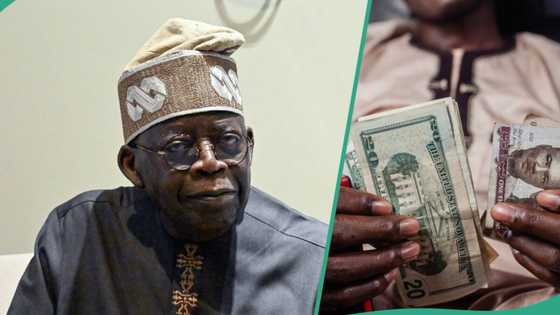 “Safe to predict”: Tinubu’s govt shares fresh dollar to naira exchange rate projection