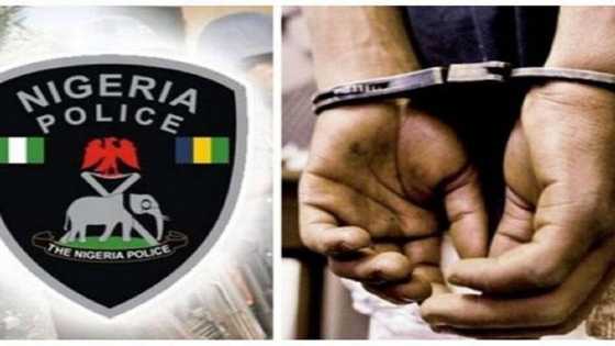 Yan sanda sun damke wani mahaifi da ya batar da ɗiyarsa da ya haifa a Adamawa, sun tsinci wata gawa
