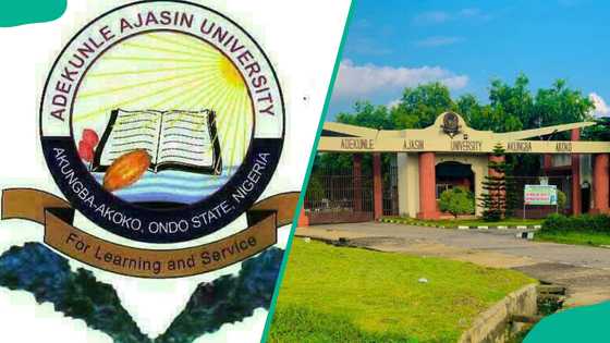 Check your AAUA admission status easily with this complete guide for new and returning students