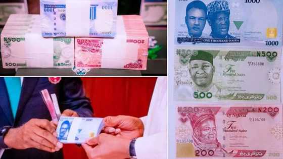 Nigerians React After Finally Seeing And Touching CBN's New Naira Notes