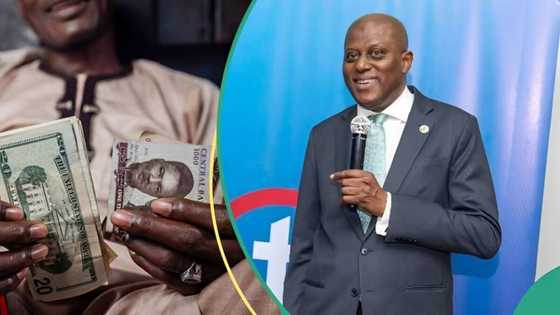 Currency hoarders to lose big as CBN governor unveils plans to crash dollar at Forex markets