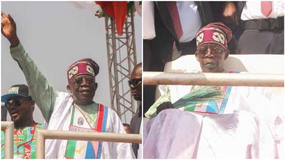 Minna APC presidential rally: Tinubu rushed off stage due to health concerns? Campaign spokesman reacts