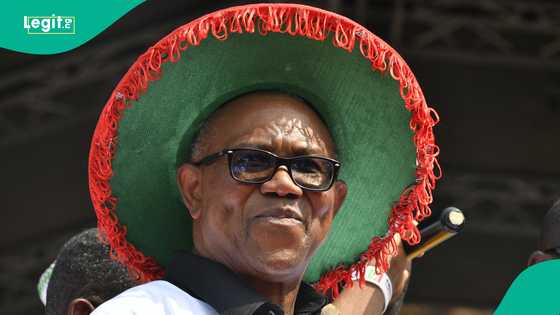 Ex-Super Eagles star stirs reactions with message to Peter Obi on his birthday