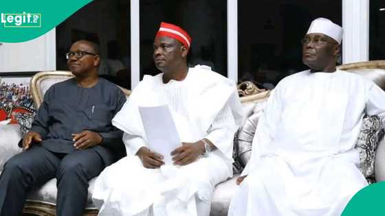 Rigima ta kara zafi a Kano, Kwankwaso ya fara duba yiwuwar ficewa daga jam'iyyar NNPP