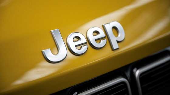 Jeep owner Stellantis suspends outlook over tariffs