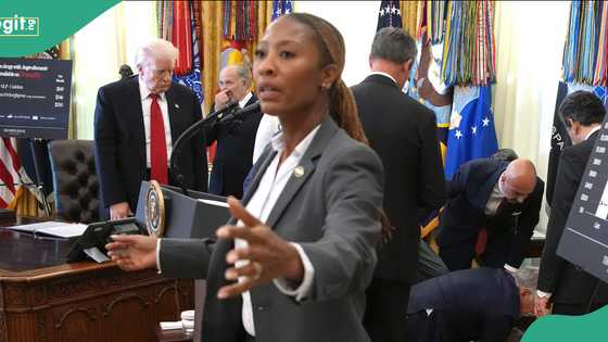 Chaos as man collapses beside US President Trump in White House during press conference