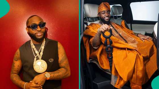 Davido gets slapped on head in Warri, singer blasts blogger over claim: "Security hit me by mistake"