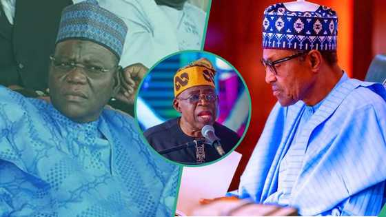 "Ban da Osinbajo": Sule Lamido ya fadi ainihin wanda Buhari ya so ya gaje shi