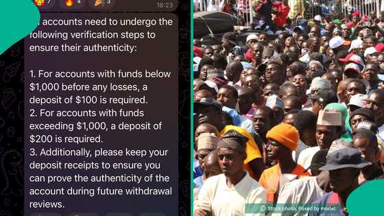 CBEX sets verification deadline, Nigerian investors rush to deposit additional $100, $200