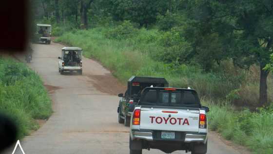 BREAKING: 136 students freed after over 80 days in bandits camp