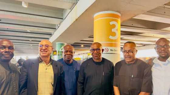 Tsohon Na Hannun Daman Kwankwaso Ya ki Yarda Ya yi Aiki a Kwamitin Kamfen Peter Obi